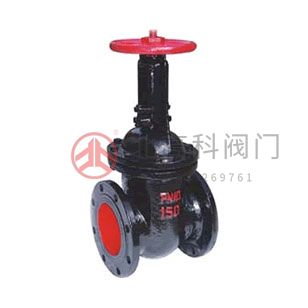 Z44T、Z44W、Z44H 型 PN10、PN16 鐵制平行式雙閘板閘閥